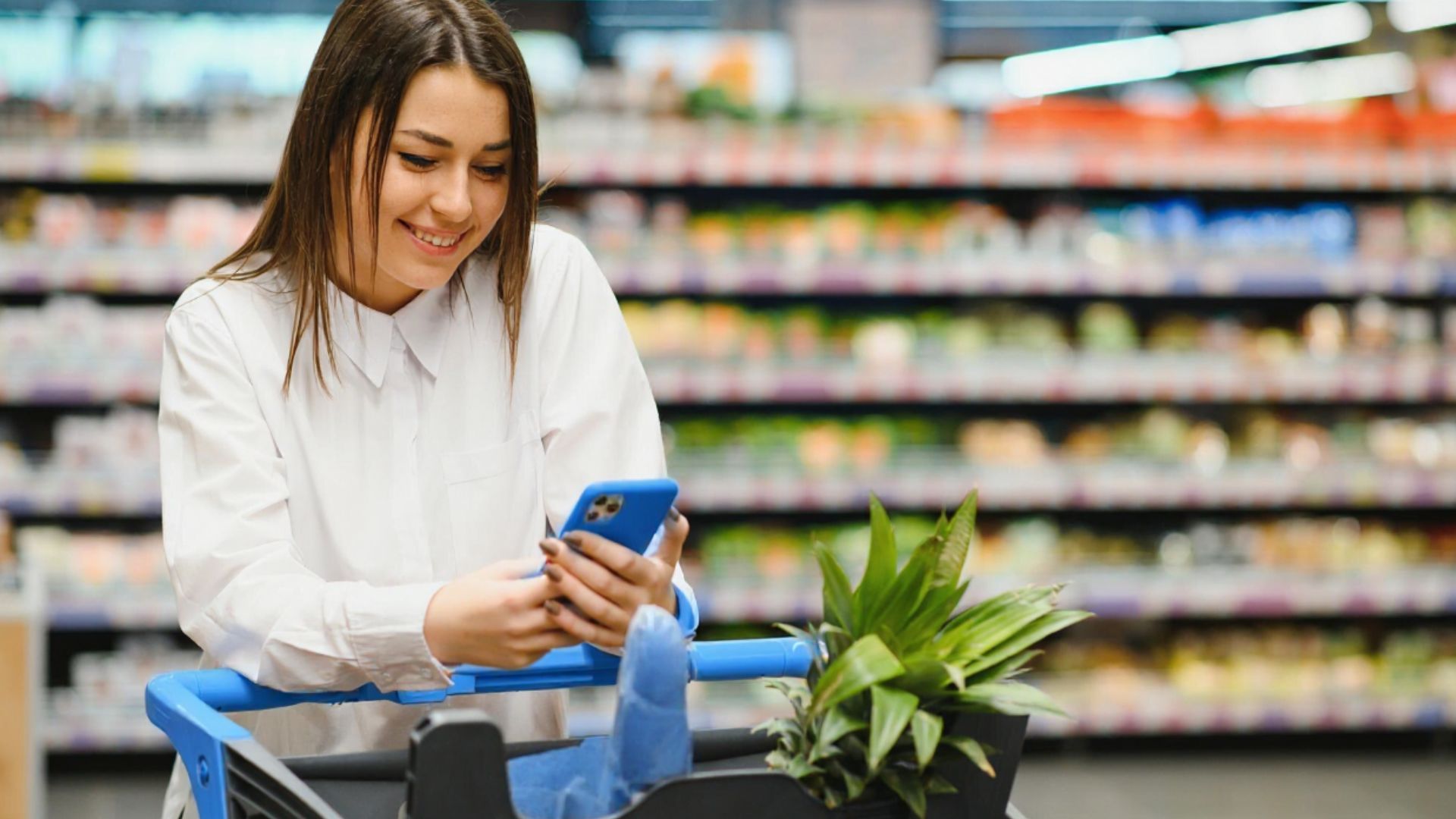 The best rewards program for shopping at Walmart