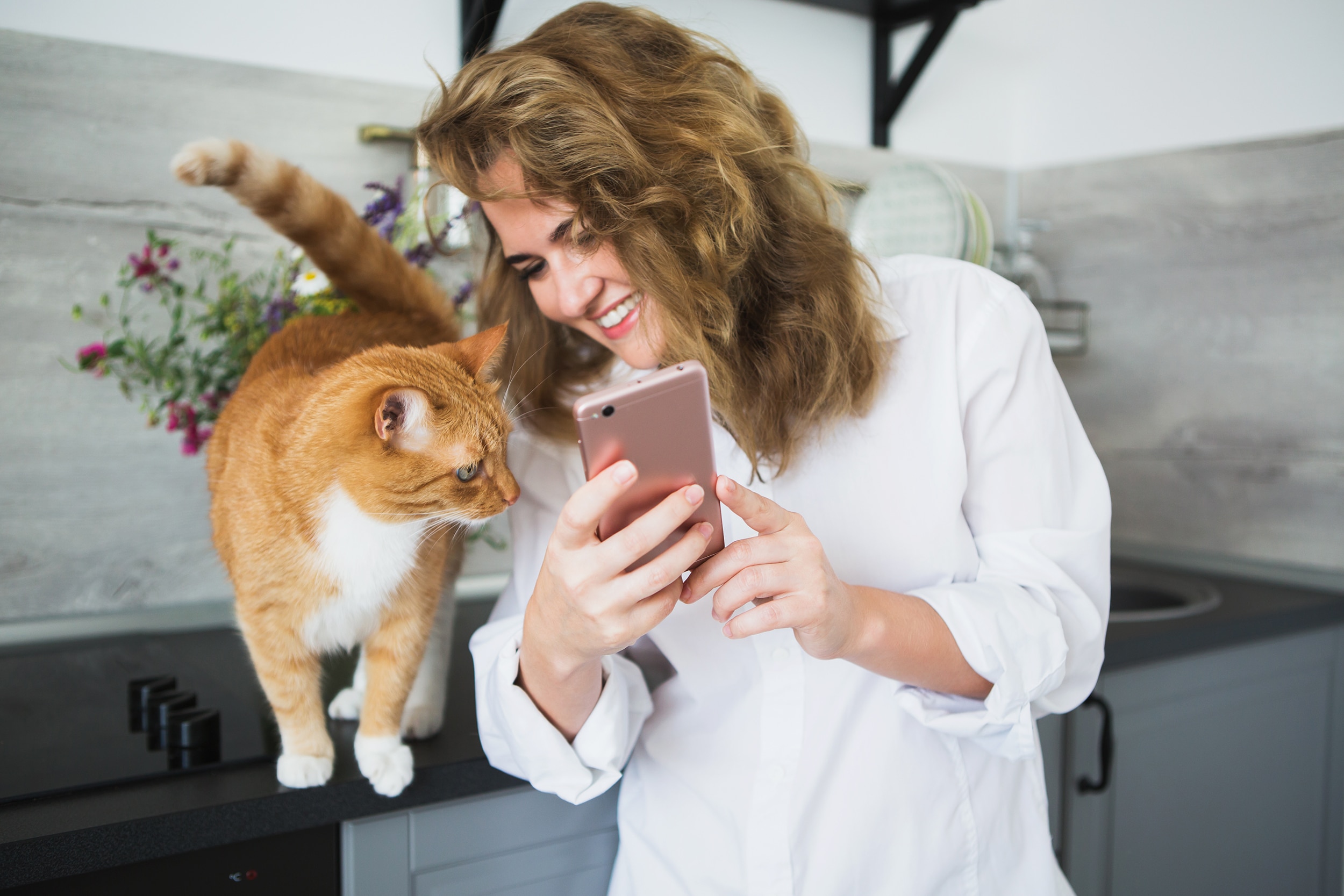 На телефоне включи кот. Кошка и смартфон. Котик со смартфоном. Смартфон с кошечкой. Женщина показывает на кота.