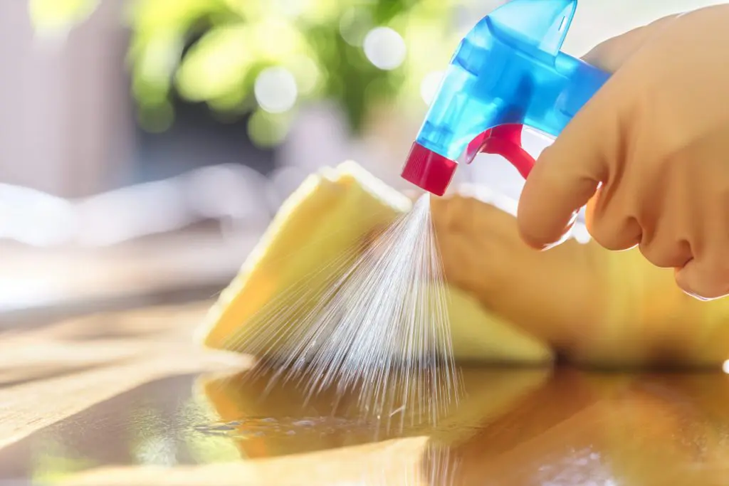 5 Surfaces to Sanitize in Under 10 Minutes | www.shopkick.com
