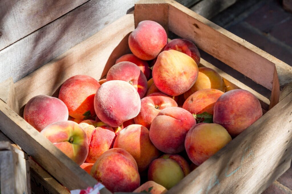 10 Summertime Peach Recipes | www.shopkick.com