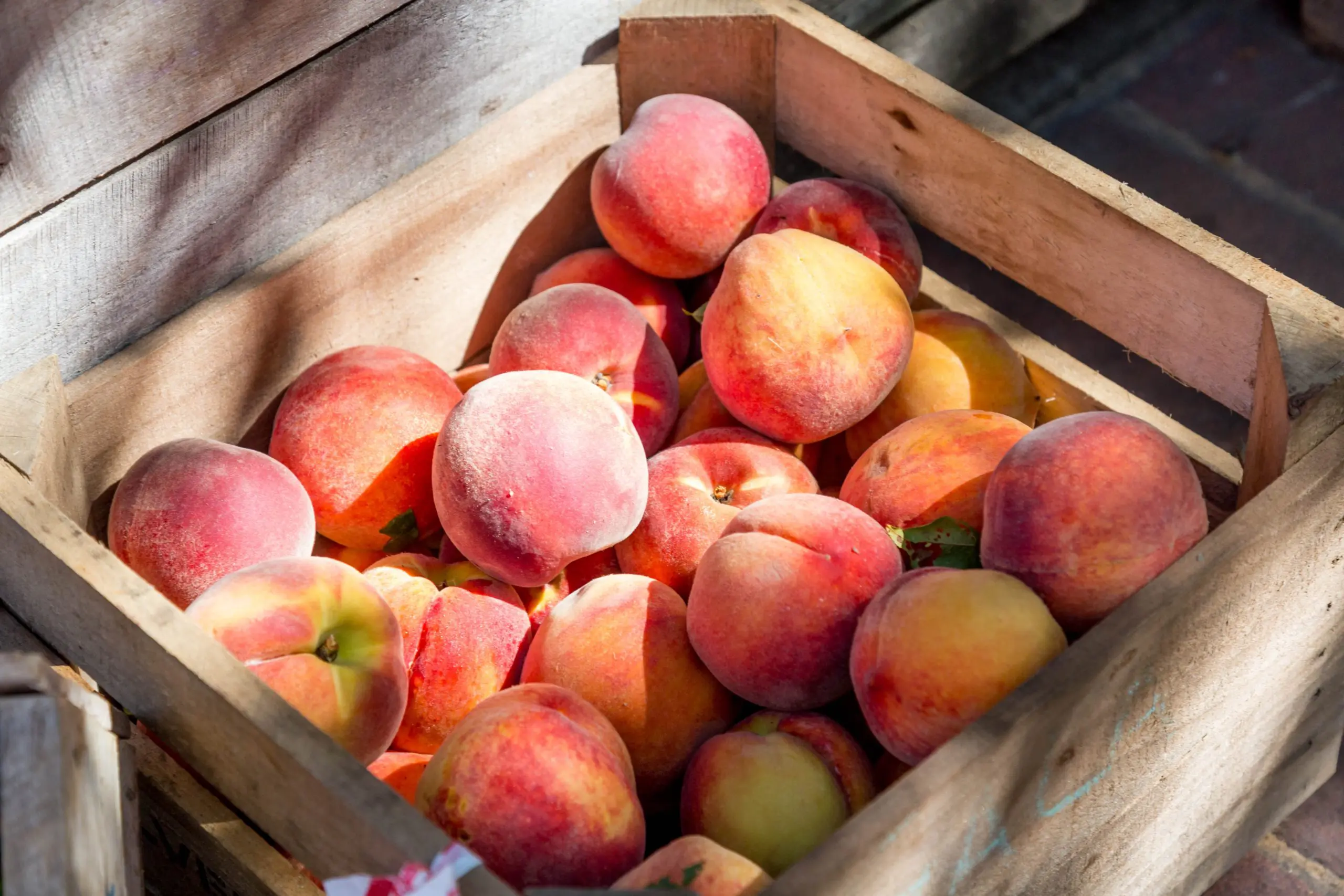 10 Summertime Peach Recipes | www.shopkick.com