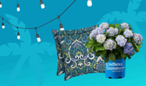 Backyard upgrades for less